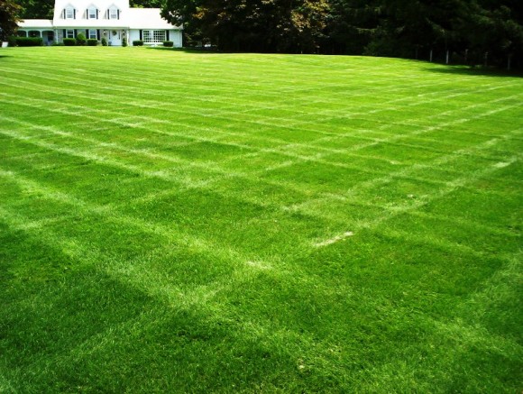 lawn-big_smaller