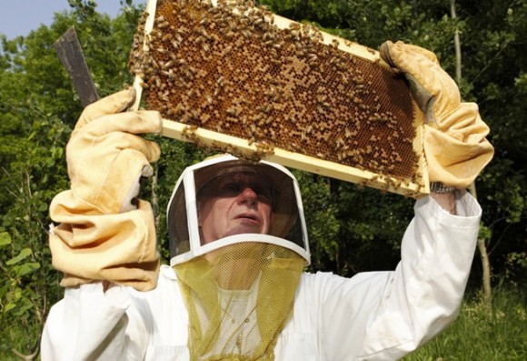 The Connecticut beekeepers are one of the organizations featured at Old Lyme's Second Earth Day, April 28.