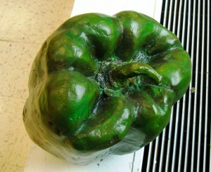 Green pepper in clay painted with acrylics by Shannon Chapman.