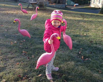 Earlier this week, a delighted Lillian Reynolds awoke to find that her lawn  in Lyme  been 'flocked.'