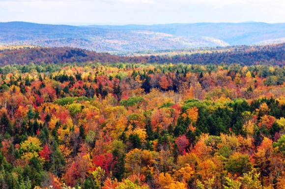 The Vermont landscape always draws visitors.
