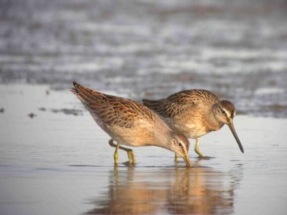 2013 Land Trust Photo Contest winner by Hank Golet.