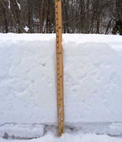 Fran Gumkowski solved the problem for us by supplying this photo, which tells us that 21 1/2 inches accumulated.
