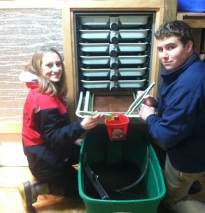 Ashley and Tyler work on transferring the baby salmon.