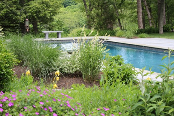 This beautiful Joshua Bliss garden is on the 2015 Garden Tour.