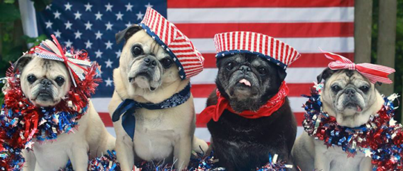 Pooch Parade