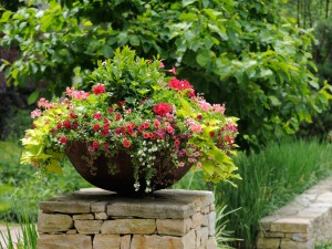 A class on container gardening will be held