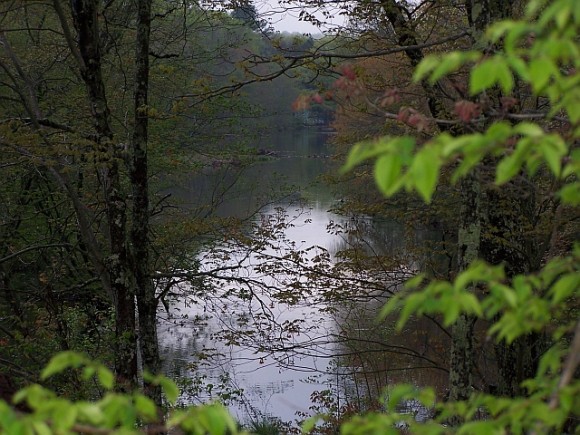 The Ed Bills Dam locale in winter.