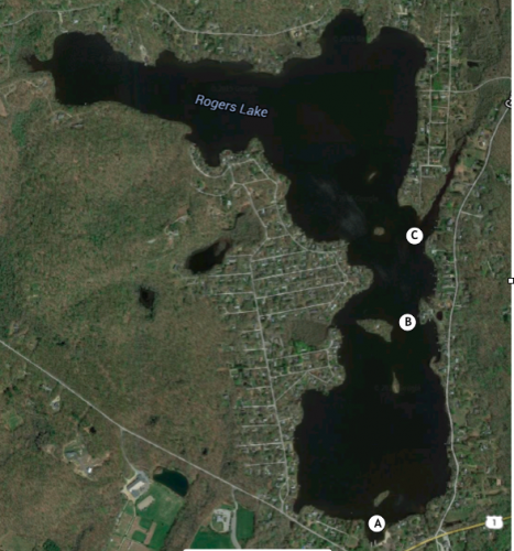 Targeted Areas of Acute Weed Infestation A. Hains Park/Rowing Docks B. Island Narrows C. Boat Launch Area
