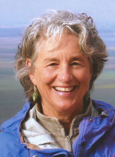 Lyme Library Board President Judith Lightfoot is retiring after more than 30 years service.