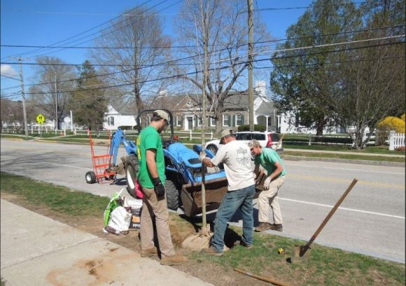 River End Nursery crew plants a maple at Old Lyme Town Hall.