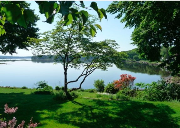 See this beautiful private garden in Essex on June 4.