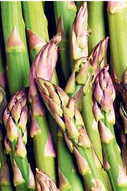Asparagus