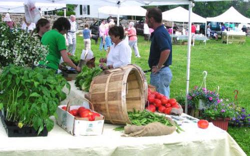 Fresh vegetables galore will be on sale again at Lyme Farmers Market on June 4.
