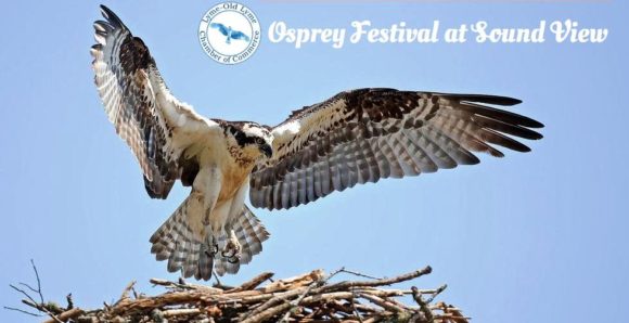 Osprey_Festival_logo_cropped