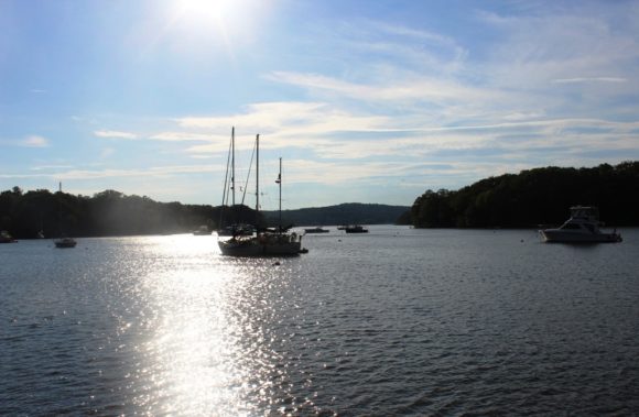 The quiet, untouched beauty of Hamburg Cove.