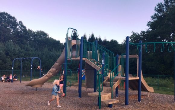 view_of_Town_Woods_playground