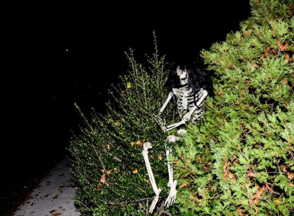 skeleton_in_bushes